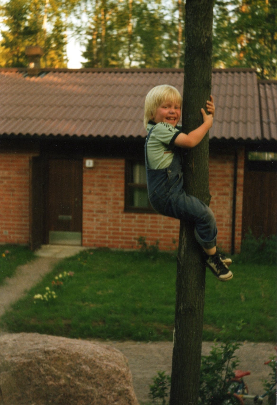 young_ville_in_a_tree.jpg