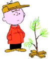 charlie_brown_christmas.jpg