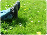 grass_shoes.jpg