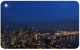 seattle_needle_view.jpg