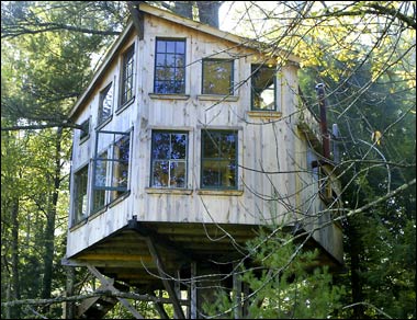 treehouse.jpg