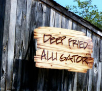 deep_fried_alligator