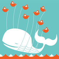 twitter_whale