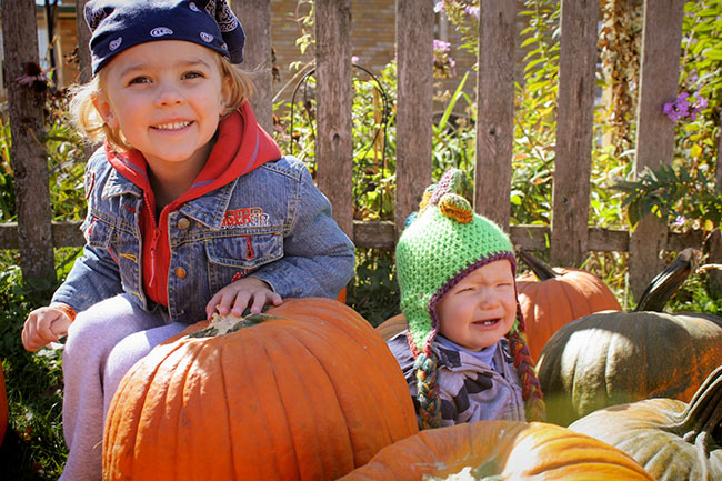The Pumpkin Patch: A Perfect Family Tradition