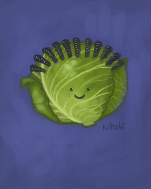 cabbage-with-cornrows