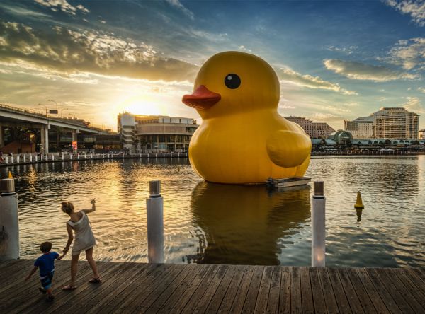 giant-rubber-duckie