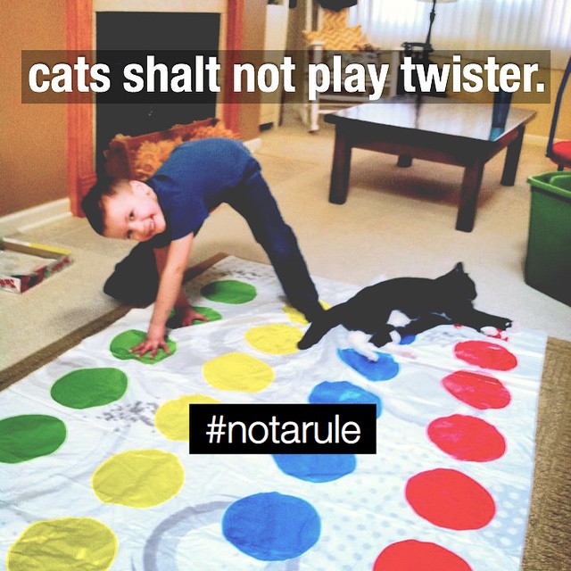 cats-playing-twister