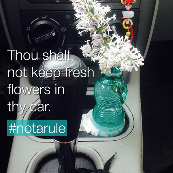 fresh-flowers-in-car