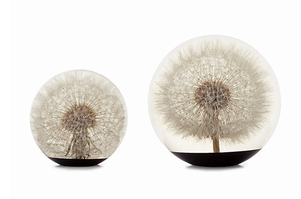 dandelion-paperweight