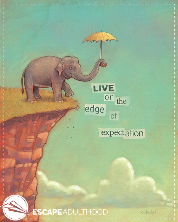 edge-of-expectation-elephant