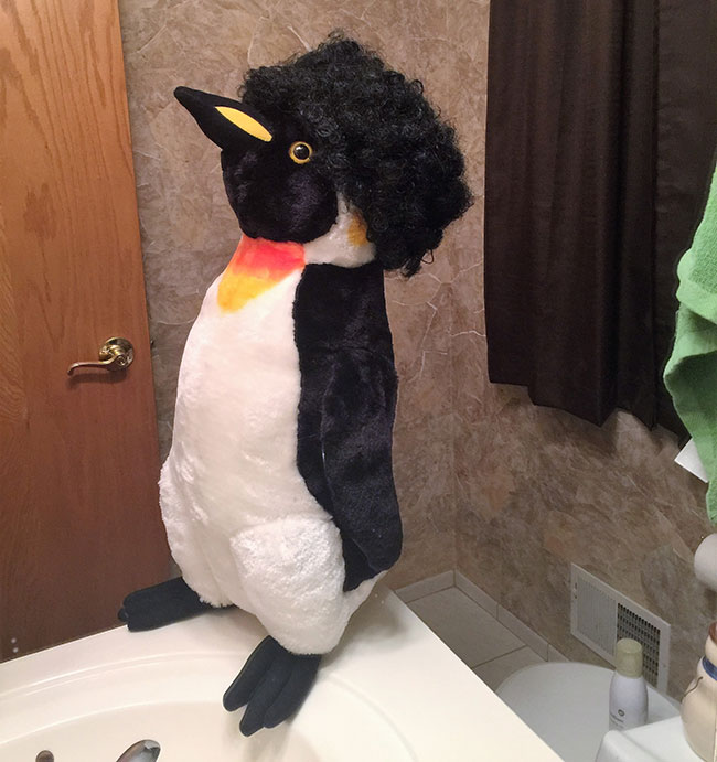 afro-penguin