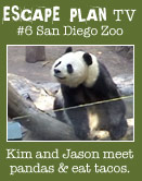 San Diego Zoo Panda